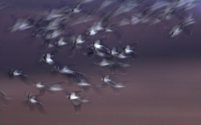 BUITEN BEELD Foto: 74337
