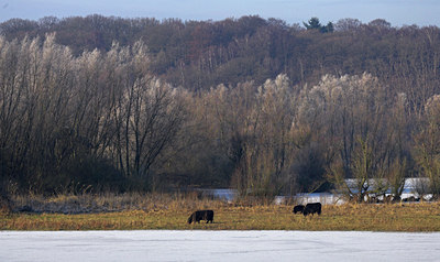 BUITEN BEELD Foto: 74343