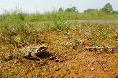 BUITEN BEELD Foto: 74359