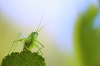 BUITEN BEELD Foto: 74383