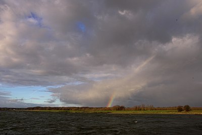 BUITEN BEELD Foto: 74528