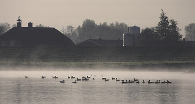 BUITEN BEELD Foto: 74541