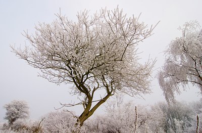 BUITEN BEELD Foto: 74568