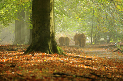 BUITEN BEELD Foto: 74593