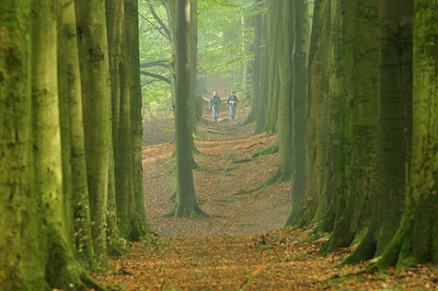BUITEN BEELD Foto: 74595