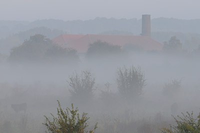 BUITEN BEELD Foto: 74650
