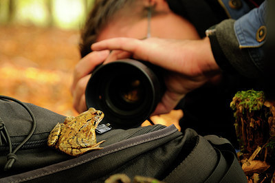 BUITEN BEELD Foto: 74653
