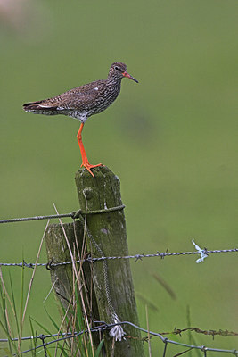 BUITEN BEELD Foto: 74672