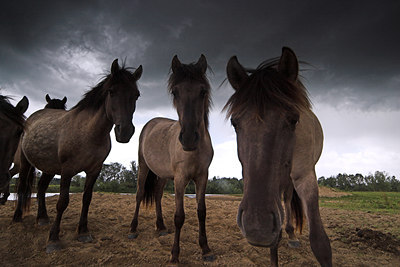 BUITEN BEELD Foto: 74674