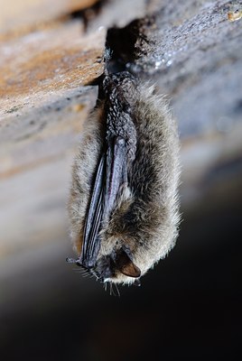 BUITEN BEELD Foto: 74693