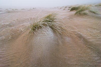 BUITEN BEELD Foto: 74697