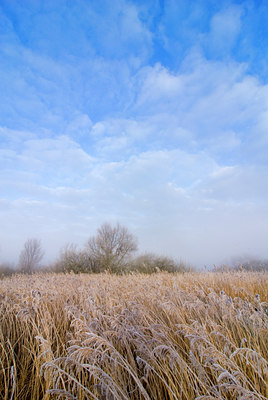 BUITEN BEELD Foto: 74711
