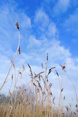 BUITEN BEELD Foto: 74712