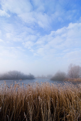 BUITEN BEELD Foto: 74714