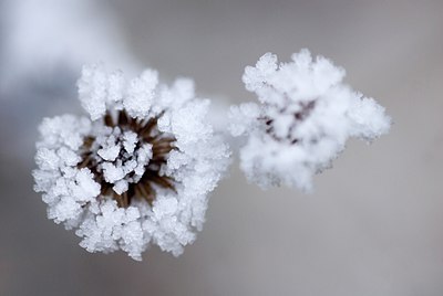 BUITEN BEELD Foto: 74716
