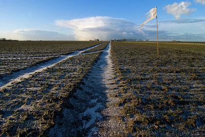 BUITEN BEELD Foto: 74719