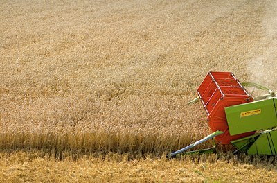 BUITEN BEELD Foto: 74760