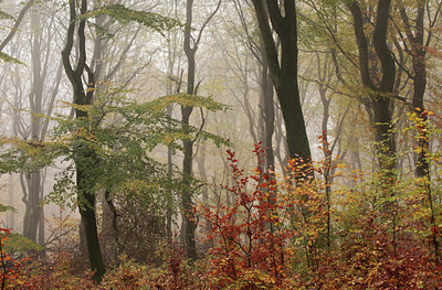 BUITEN BEELD Foto: 74783