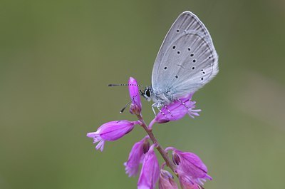 BUITEN BEELD Foto: 74791