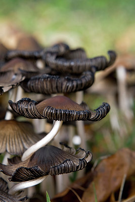 BUITEN BEELD Foto: 74844