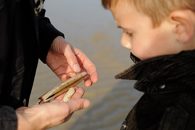 BUITEN BEELD Foto: 74876