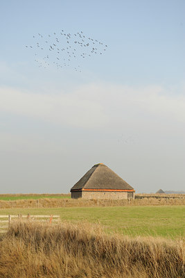 BUITEN BEELD Foto: 74892