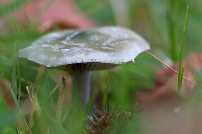 BUITEN BEELD Foto: 74910