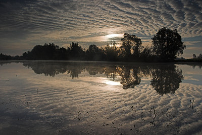 BUITEN BEELD Foto: 74927