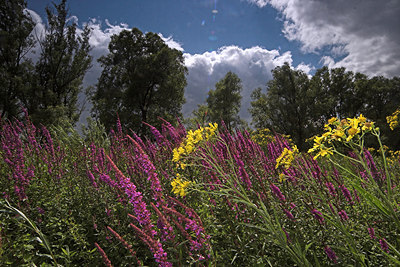 BUITEN BEELD Foto: 74933