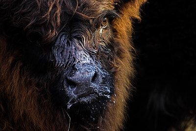 BUITEN BEELD Foto: 74939