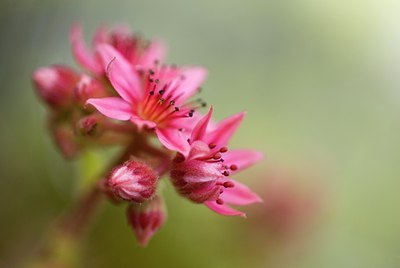 BUITEN BEELD Foto: 74952