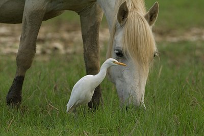 BUITEN BEELD Foto: 74984
