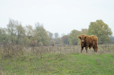 BUITEN BEELD Foto: 75051