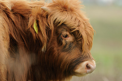 BUITEN BEELD Foto: 75053
