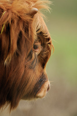 BUITEN BEELD Foto: 75054