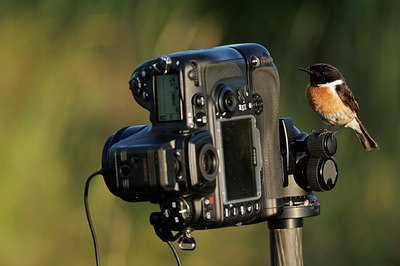 BUITEN BEELD Foto: 75102