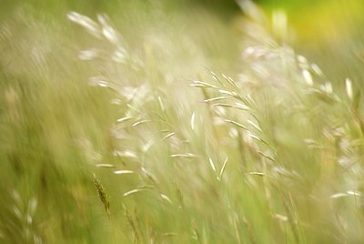 BUITEN BEELD Foto: 75183