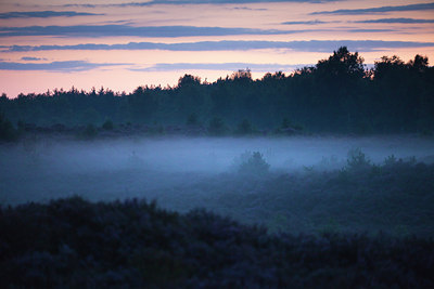 BUITEN BEELD Foto: 75219