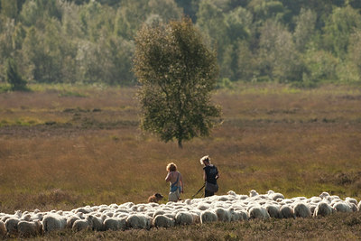 BUITEN BEELD Foto: 75221