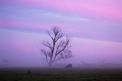 BUITEN BEELD Foto: 75224