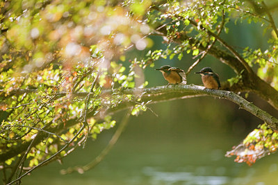 BUITEN BEELD Foto: 75247