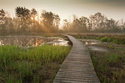 BUITEN BEELD Foto: 75256
