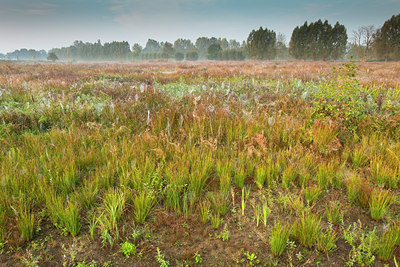 BUITEN BEELD Foto: 75257