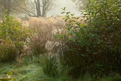 BUITEN BEELD Foto: 75263