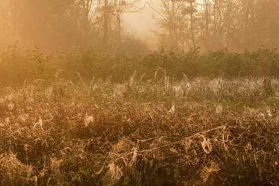 BUITEN BEELD Foto: 75268