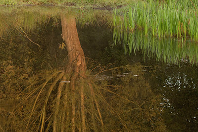 BUITEN BEELD Foto: 75269
