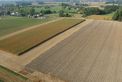 BUITEN BEELD Foto: 75298