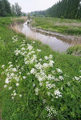 BUITEN BEELD Foto: 75324