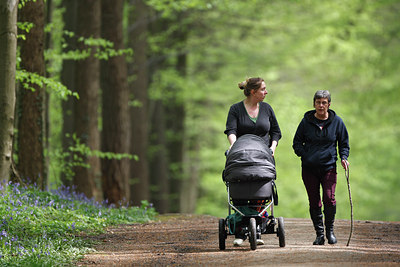 BUITEN BEELD Foto: 75343