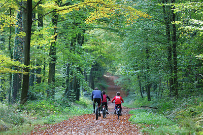 BUITEN BEELD Foto: 75344